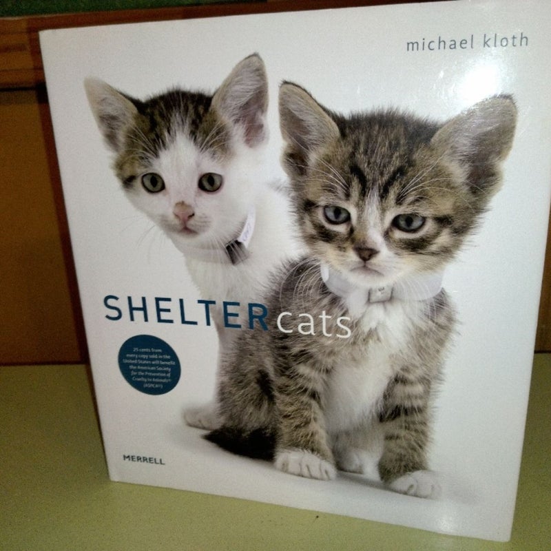 Shelter Cats