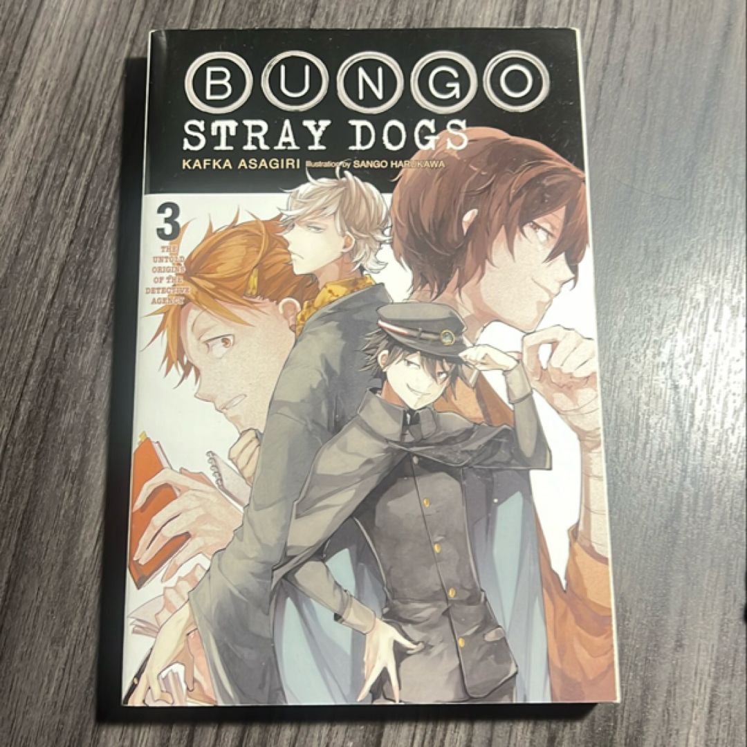 Bungo Stray Dogs, Vol. 3 (light Novel)