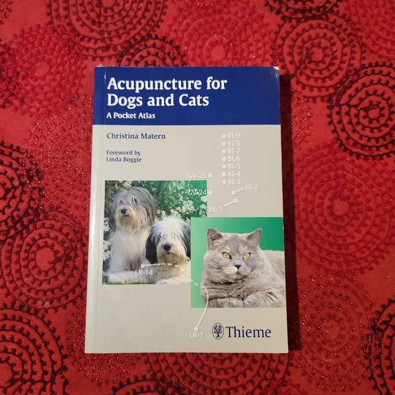 Acupuncture for Dogs and Cats