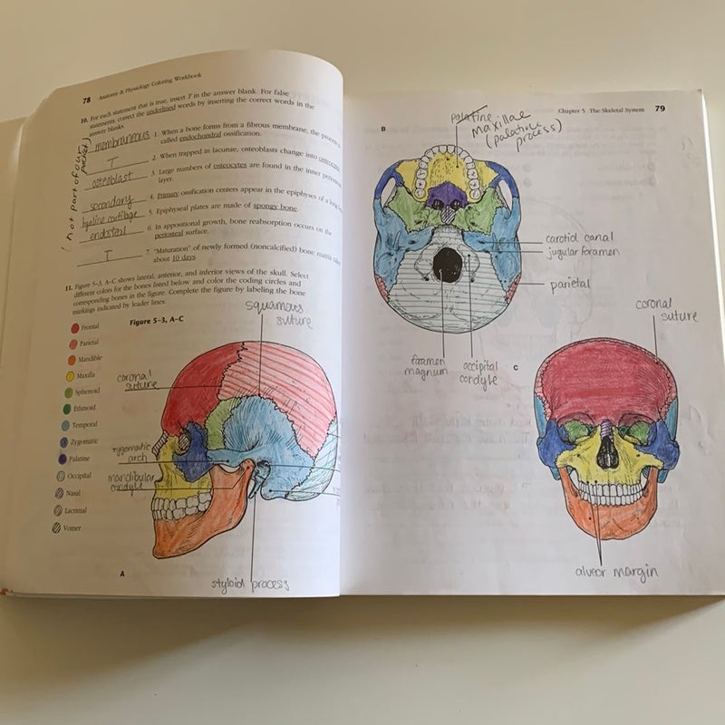 Anatomy and Physiology Coloring Workbook