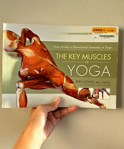 Key Muscles of Yoga