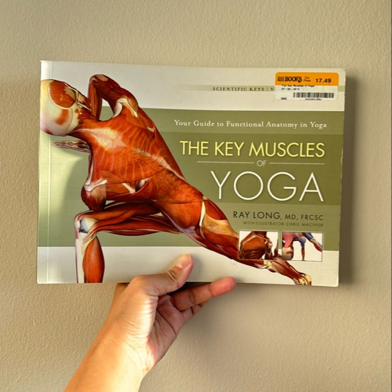 Key Muscles of Yoga