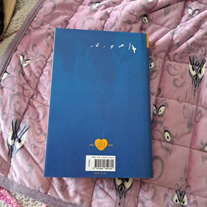 Dear Edward BOTM Edition by Ann Napolitano, Hardcover Pangobooks