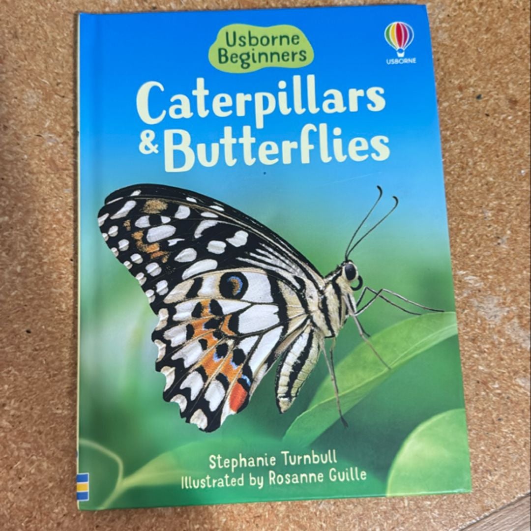 Beginners: Caterpillars and Butterflies