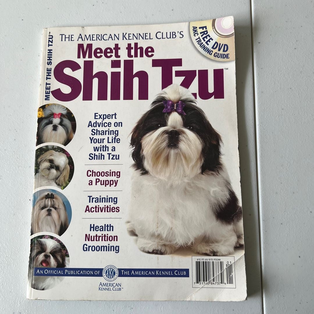 Kennel club shih tzu puppies best sale