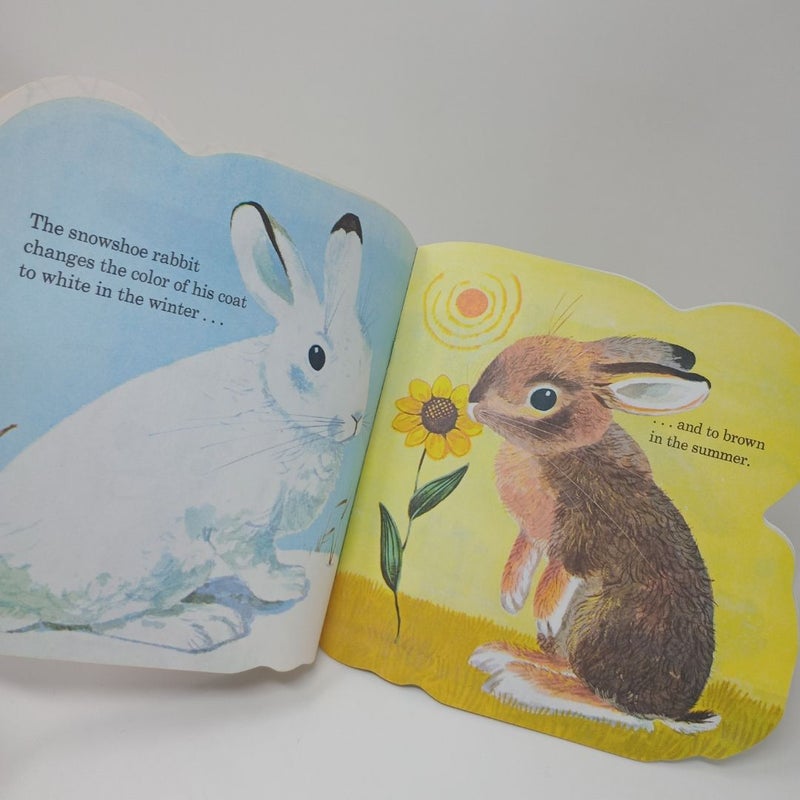 The Bunny Book 