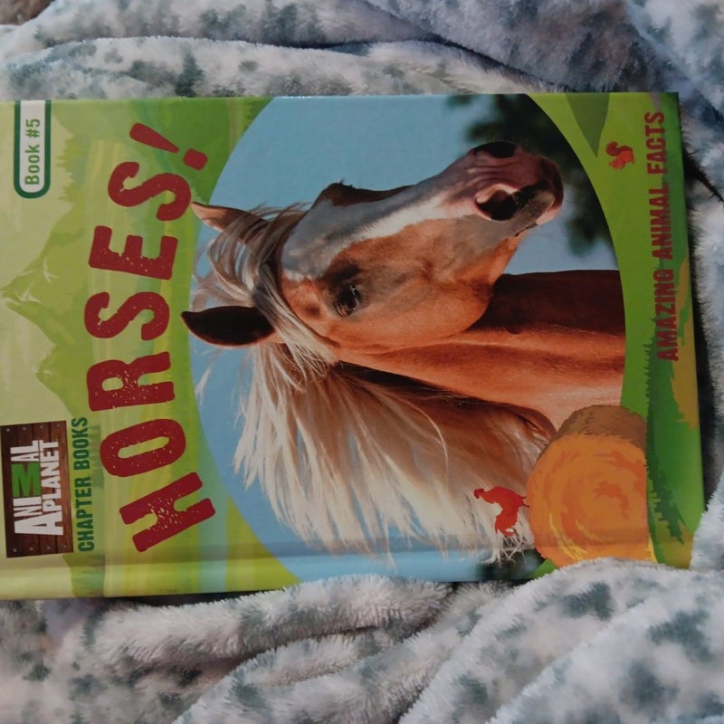 Horses! (Animal Planet Chapter Books #5)