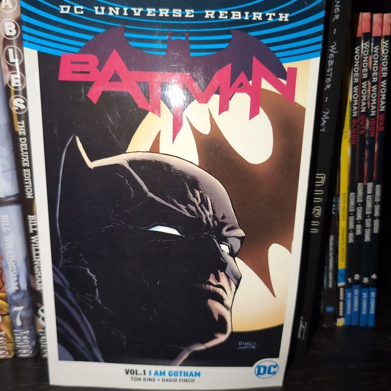 Batman Vol 1 I Am Gotham
