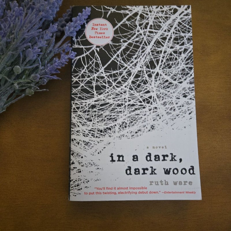 In a Dark, Dark Wood
