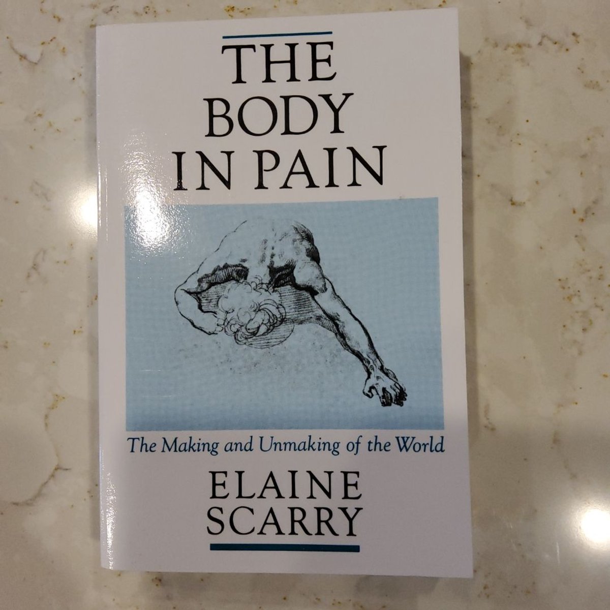 The Body in Pain by Elaine Scarry