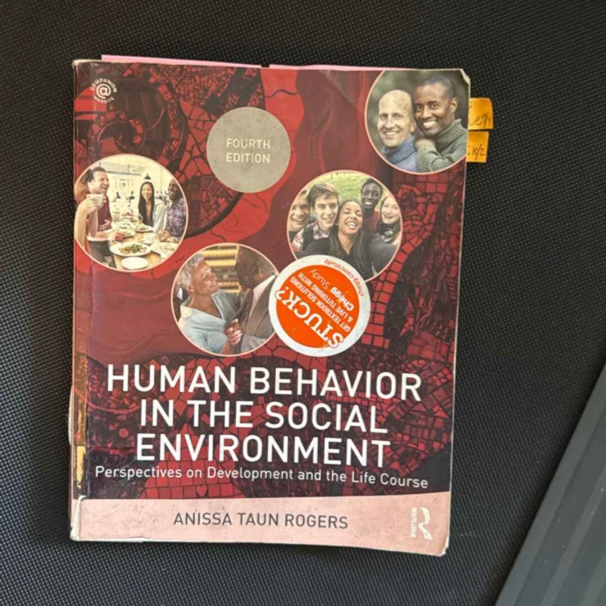 Human Behavior in the Social Environment by Anissa Rogers