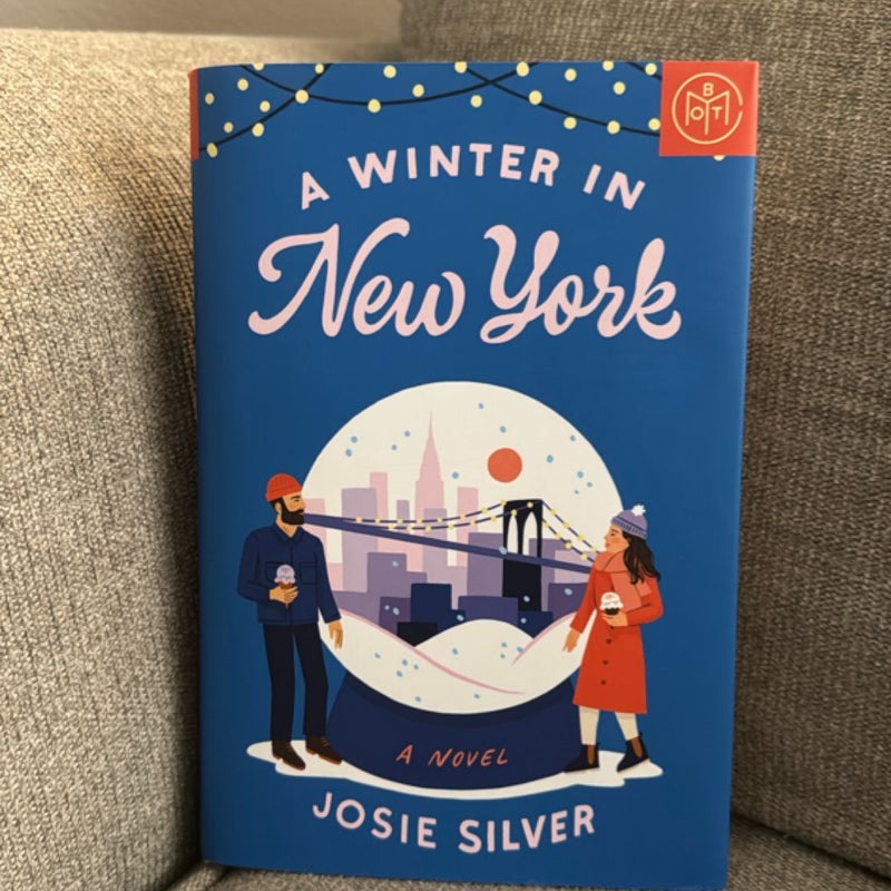 A Winter in New York