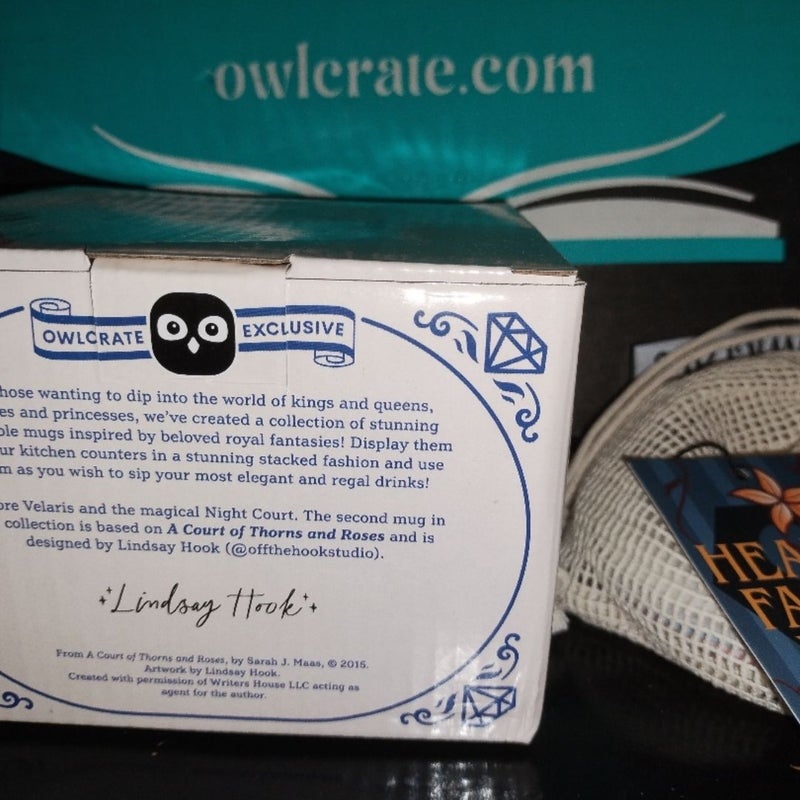 Owlcrate ACOTAR Sarah J Mass Mug and Prison Healer Bonus Item