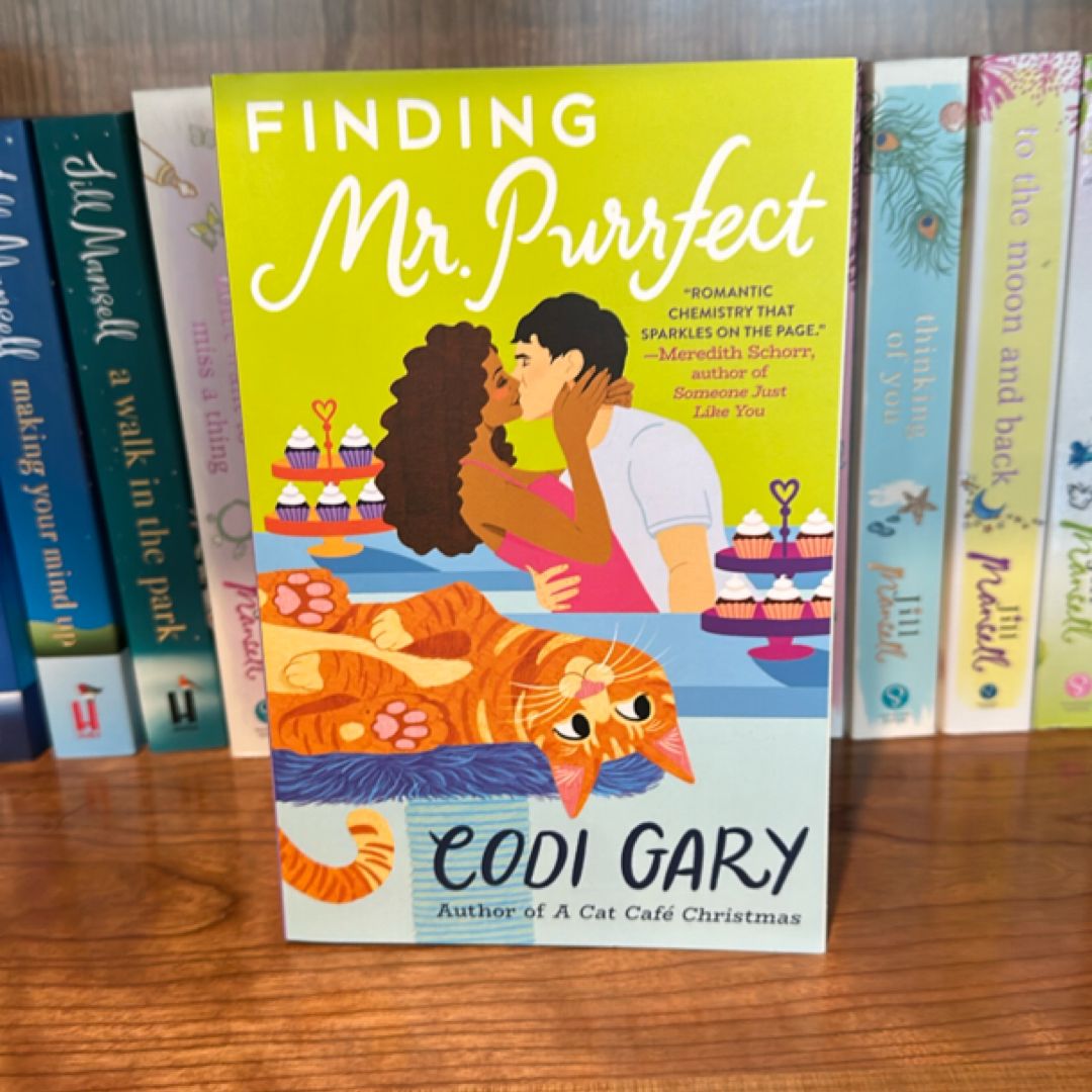 Finding Mr. Purrfect