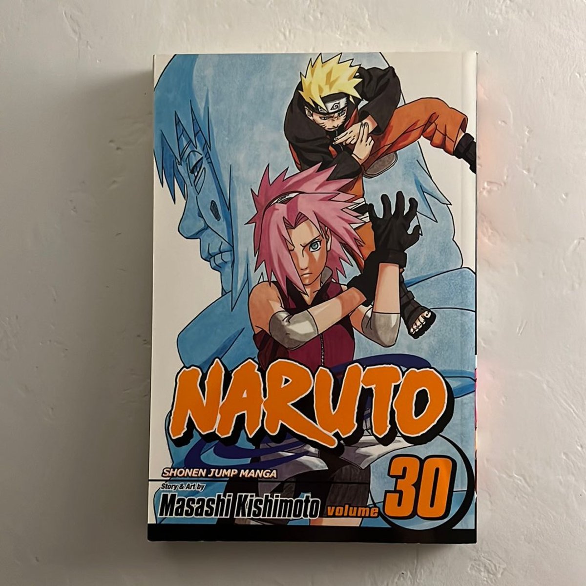 Naruto, Vol. 30 by Masashi Kishimoto