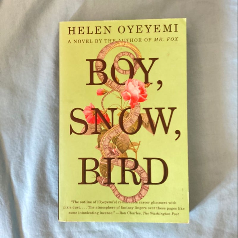 Boy, Snow, Bird