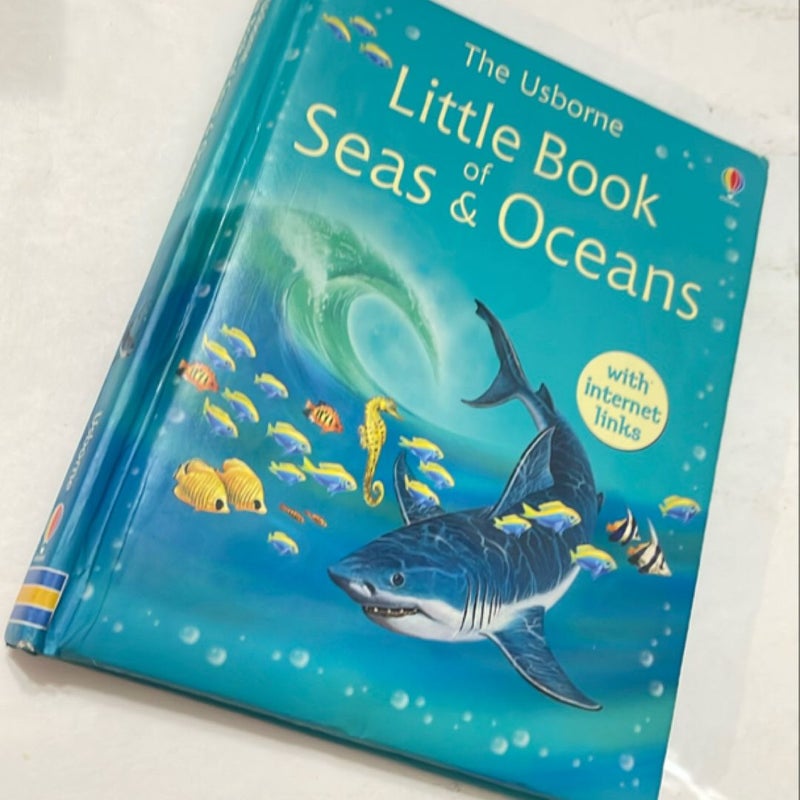 Little Book of Seas and Oceans - Internet Linked