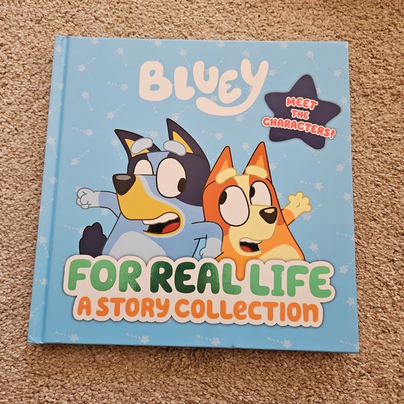 For Real Life: a Story Collection