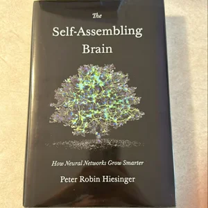 The Self-Assembling Brain