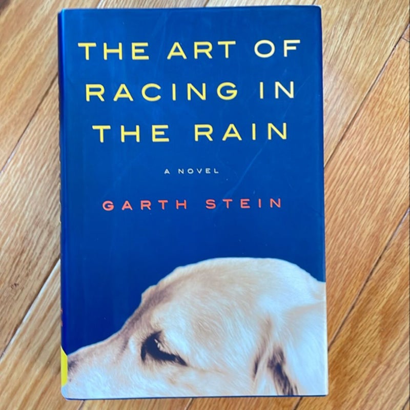 The Art of Racing in the Rain