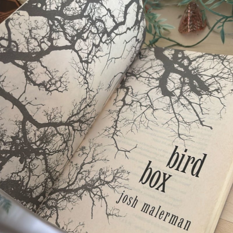 Bird Box