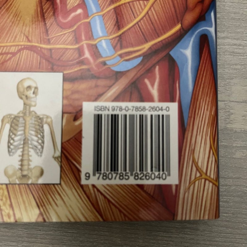 The Human Body Atlas