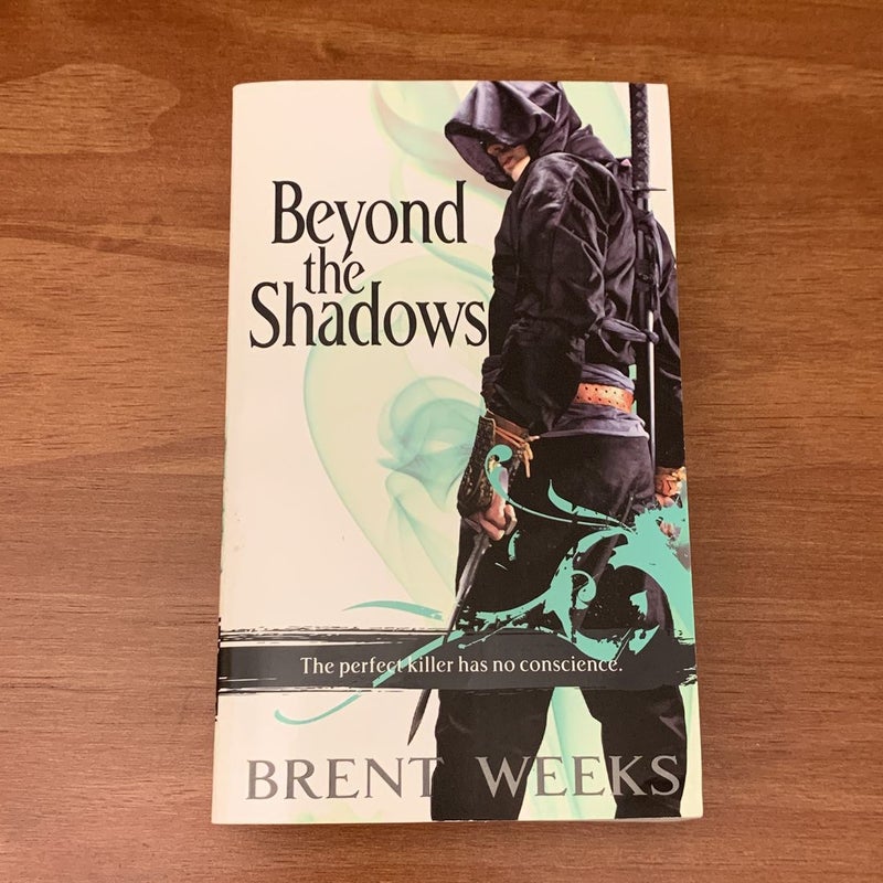 Beyond the Shadows (the Night Angel trilogy 3)