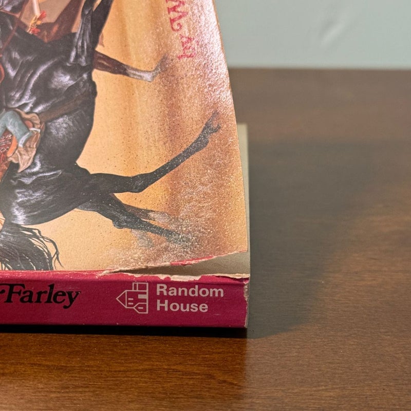 Black Stallion Books
