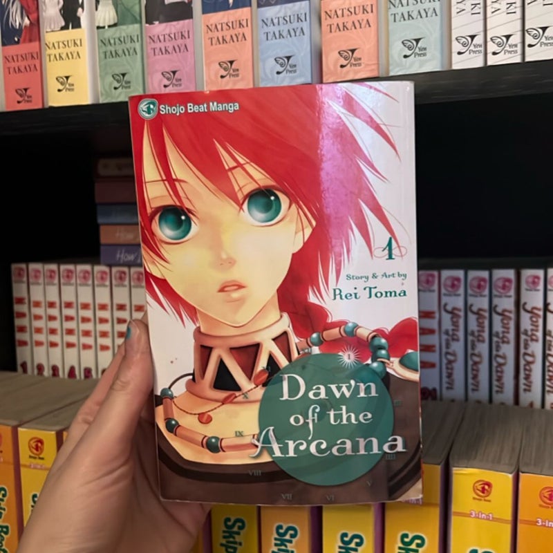 Dawn of the Arcana, Vol. 1
