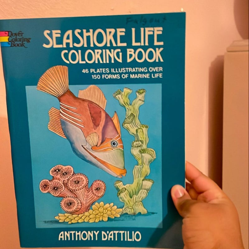 Seashore Life Coloring Book
