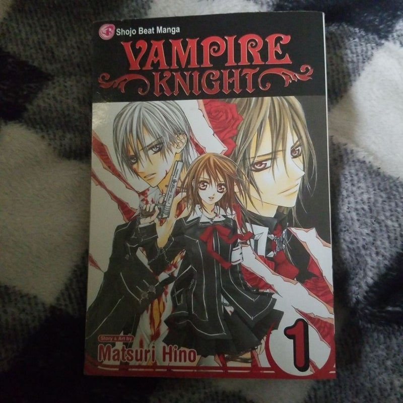 Vampire Knight, Vol. 1