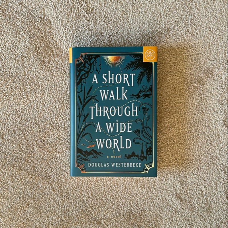 A Short Walk Through a Wide World