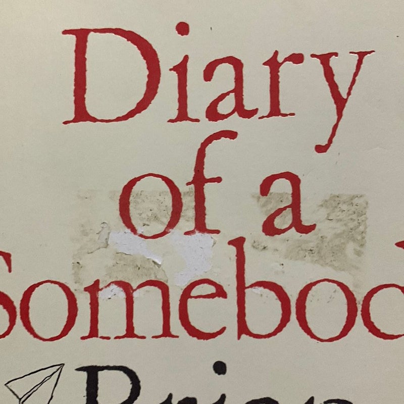 Diary of a Somebody