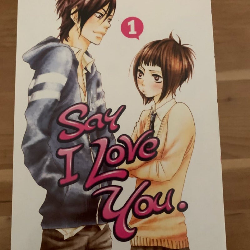 Say I Love You. 1-9