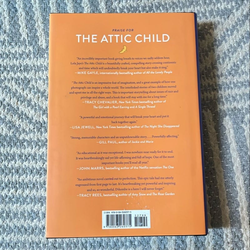 The Attic Child