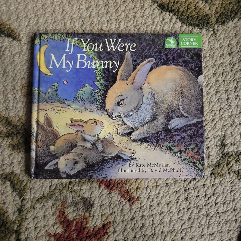 If You Were My Bunny (a StoryPlay Book)