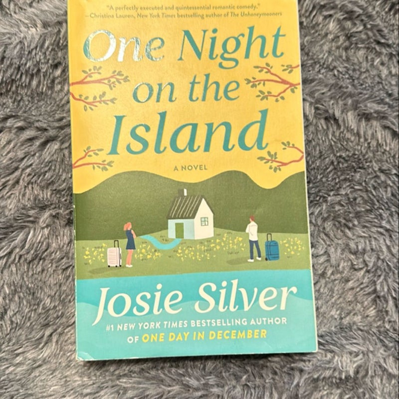 One Night on the Island