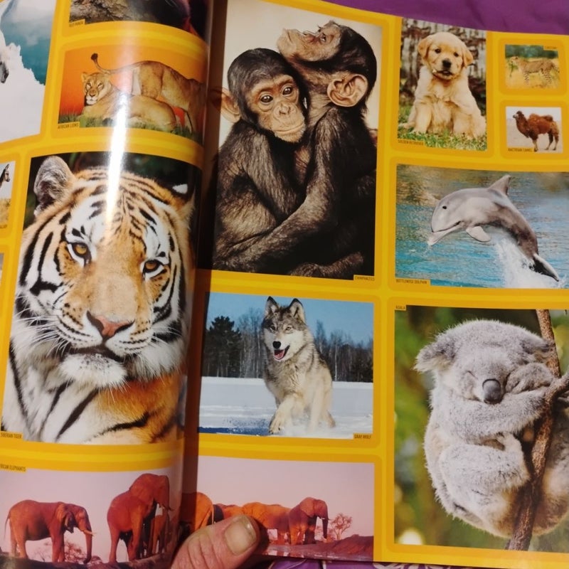 National geographic animal encyclopedia