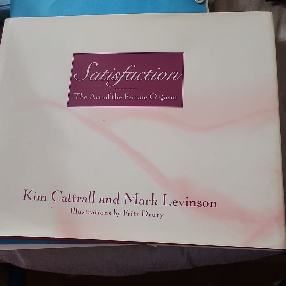 Satisfaction by Kim Cattrall, Hardcover | Pango Books