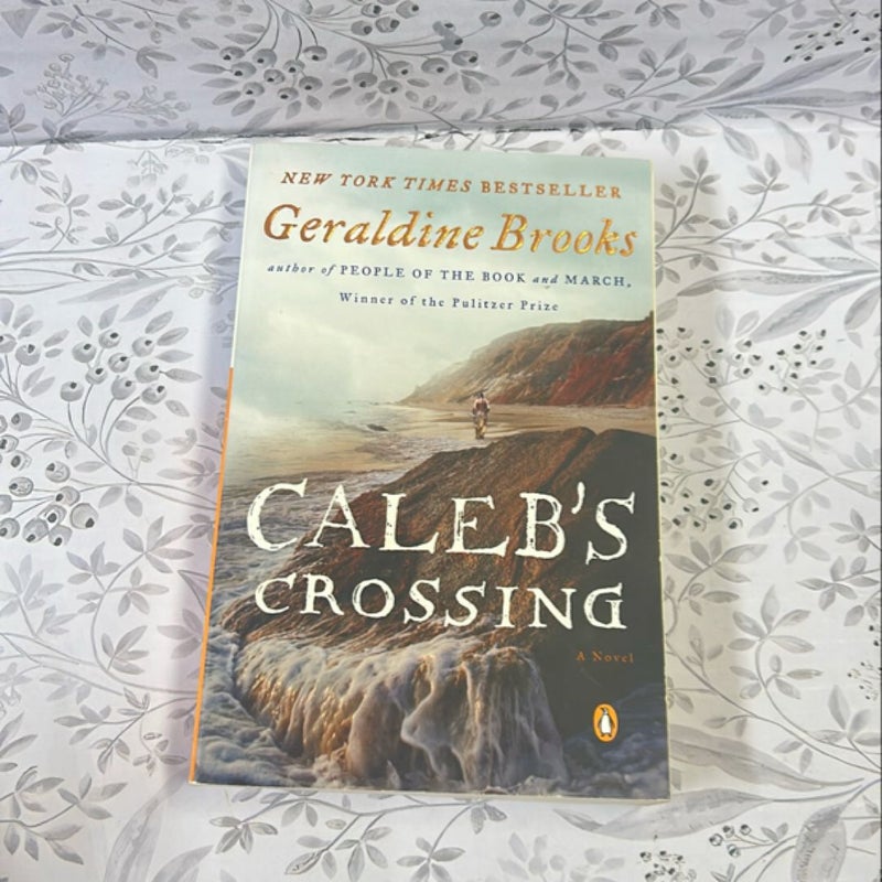 Caleb's Crossing