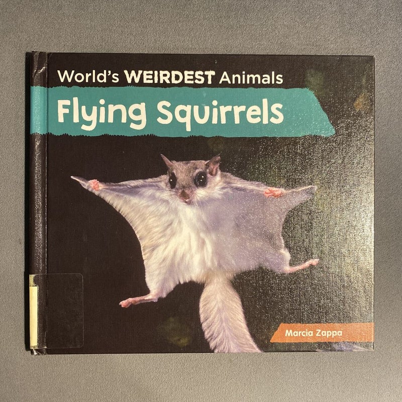 Flying Squirrels