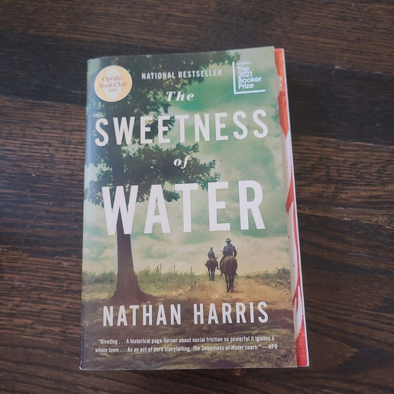 The Sweetness of Water (Oprah's Book Club)