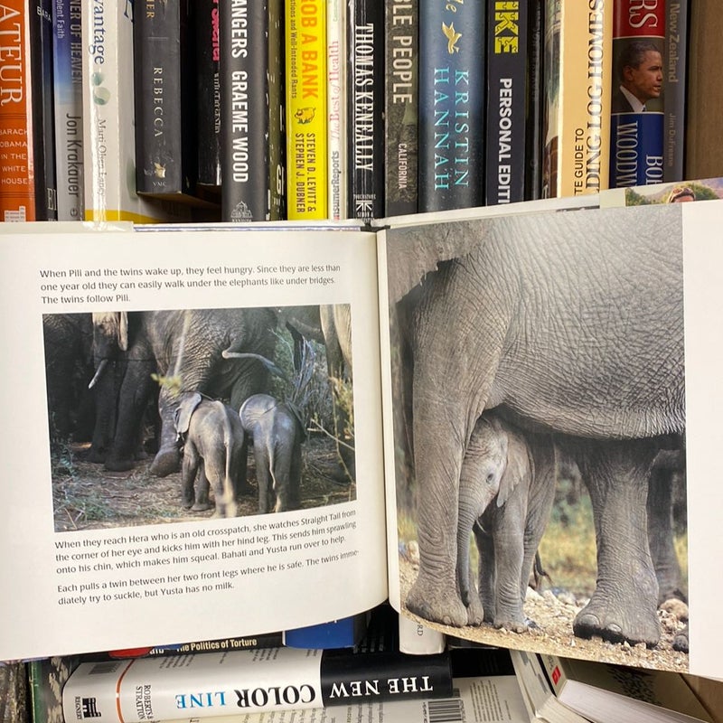 The elephant family book