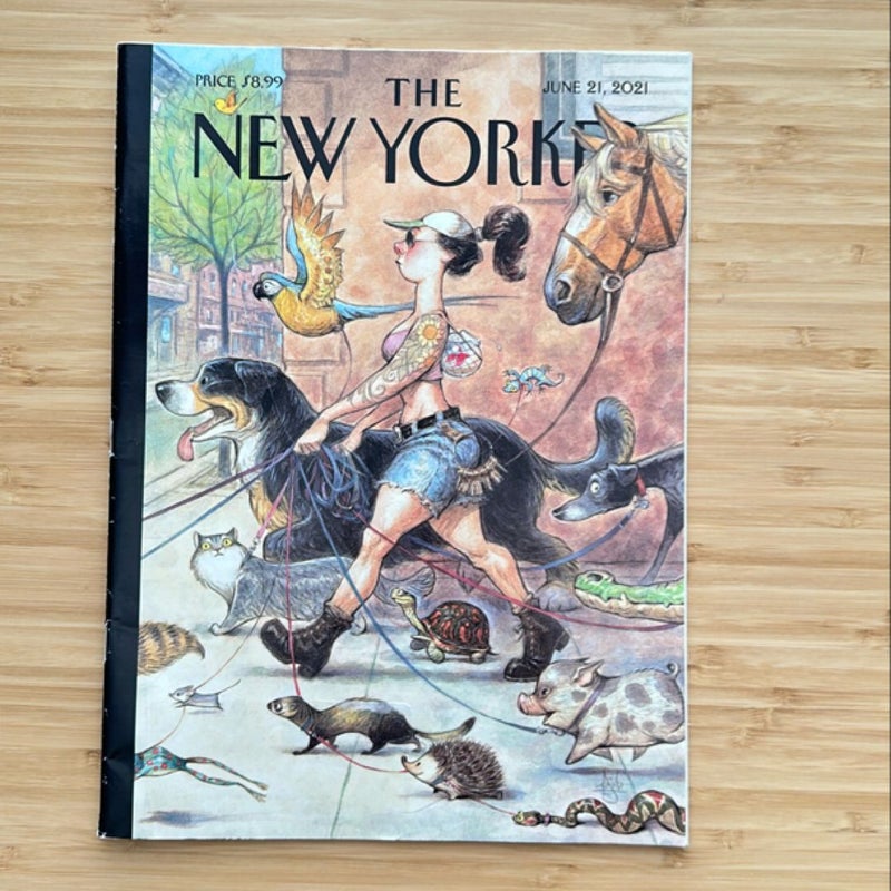 The New Yorker (bundle 8)