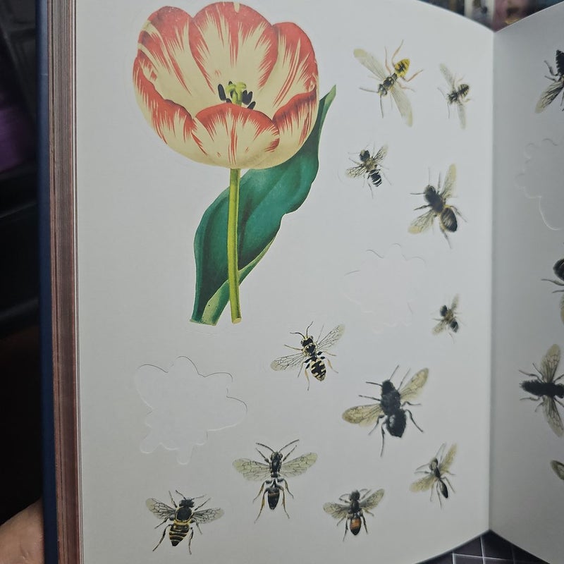 The Bees, Birds & Butterflies Sticker Anthology by DK