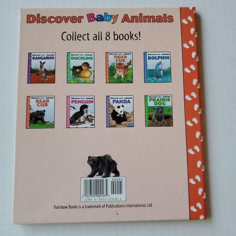 Discovery Books - Bear Cub