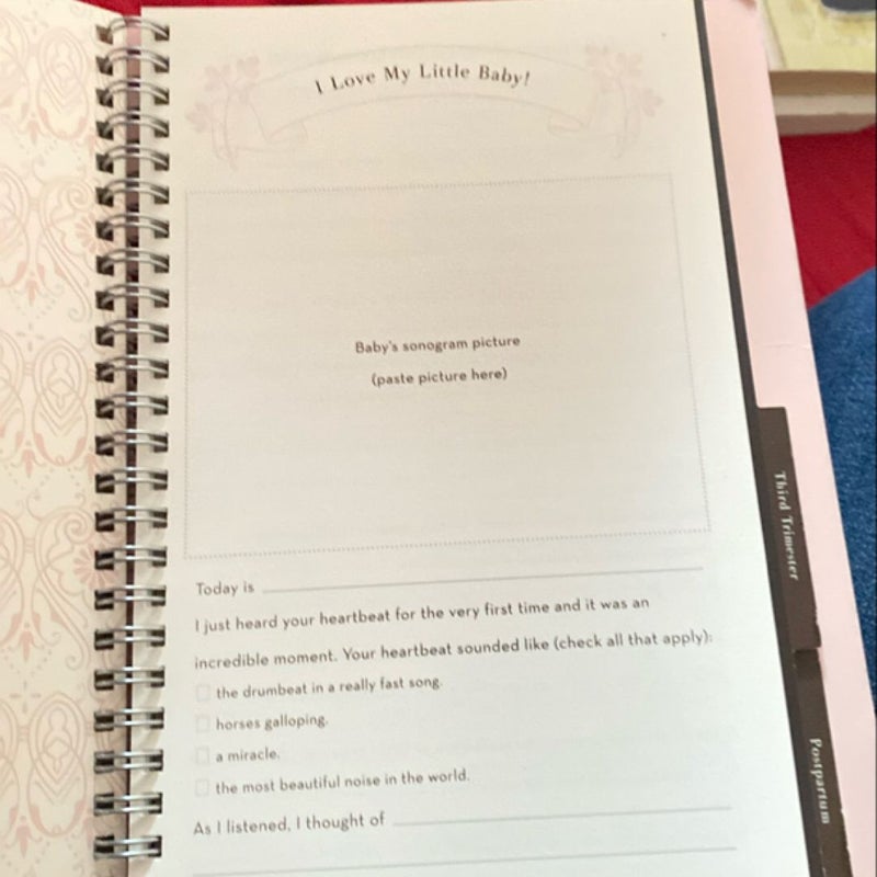 A Mothers Baby Journal