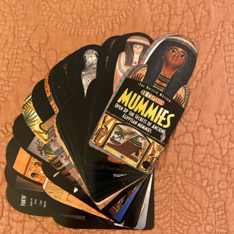 Fantastic Mummies