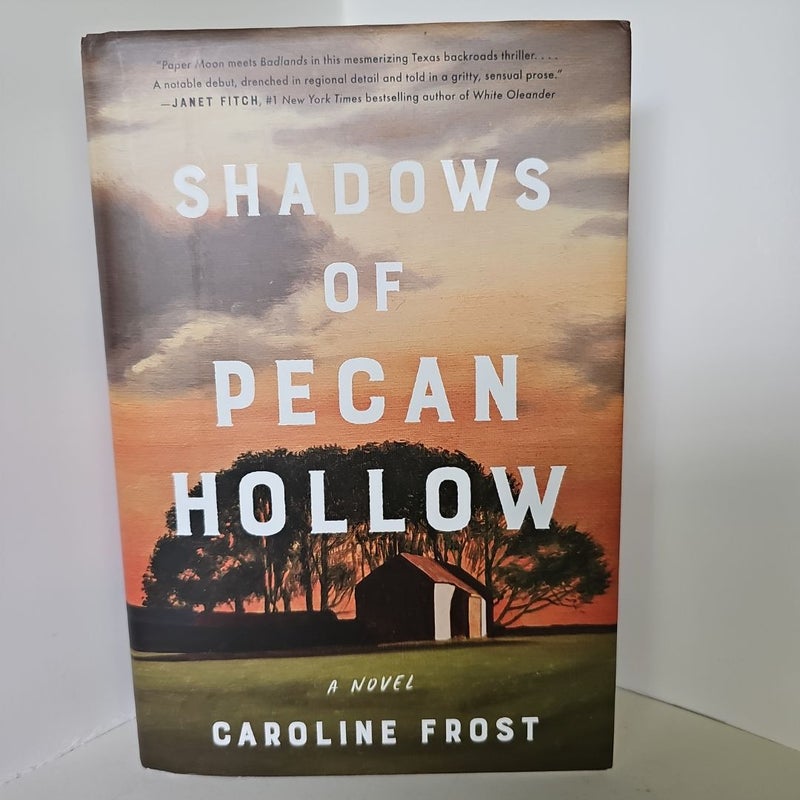 Shadows of Pecan Hollow