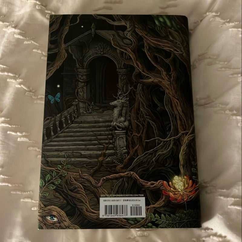 Where the Dark Stands Still
